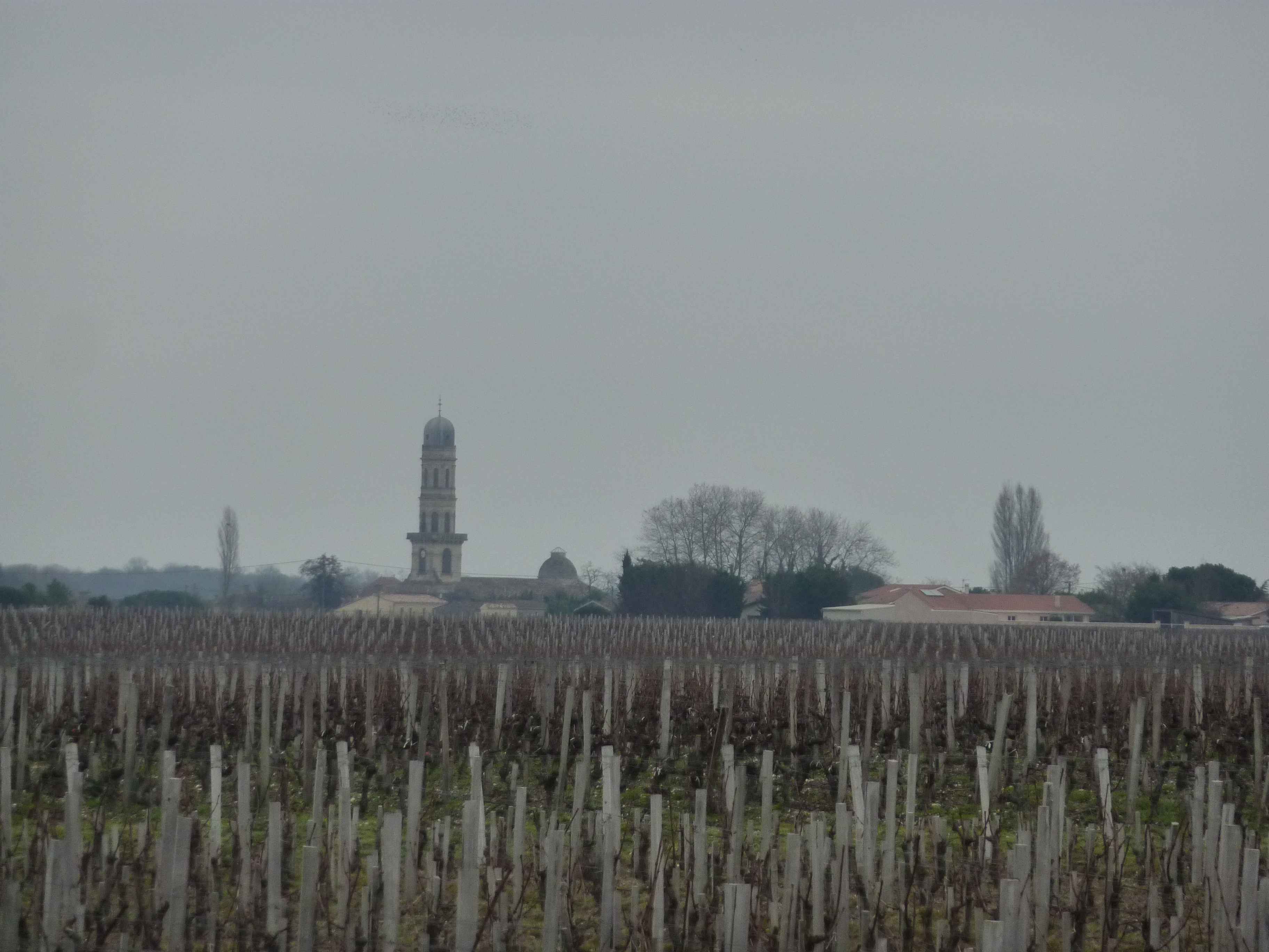 Photos de Le Village De Lamarque Dans Les Vignes