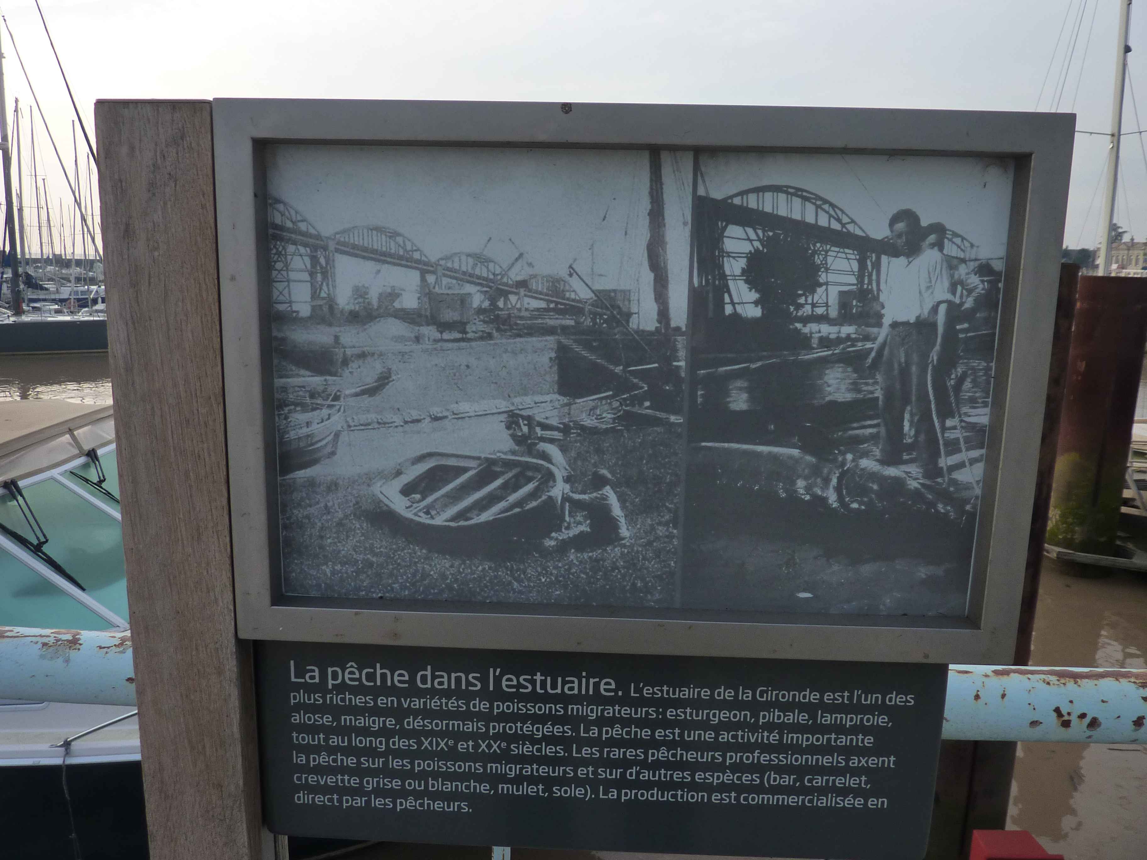 Photos de Explication De La Peche Dans L Estuaire De La Garonne