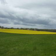 Photos Charente-Maritime