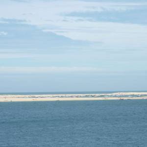 Top bassin d'Arcachon